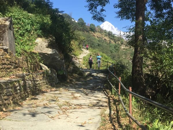 3 day annapurna view trek walking downhill from ghandruk