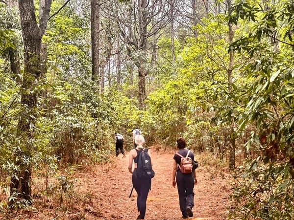 hiking way uphill to jamacho hill shivapuri