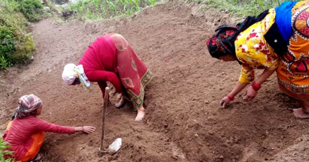 Agriculture Trek in Nepal