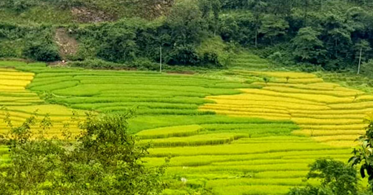 Agriculture Trek in Nepal