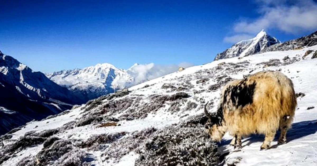 Everest Base Camp Via Chola Pass Gokyo