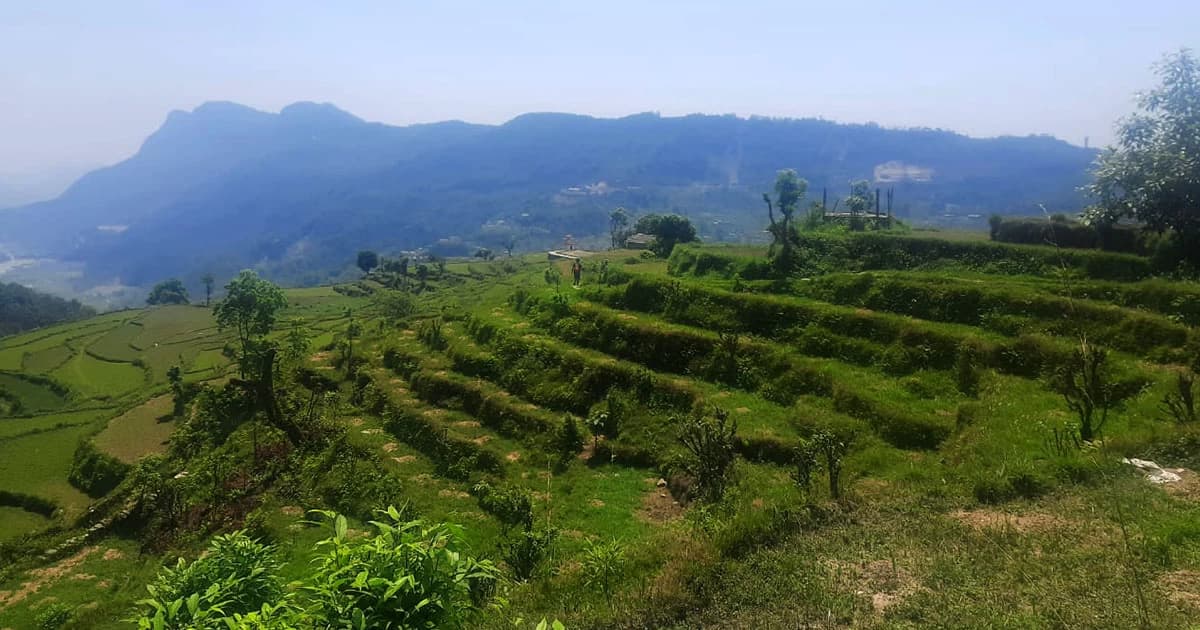 Short Trek and Hike in Nepal