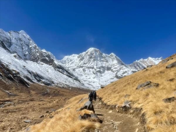 Annapurna Base Camp group trek and view of the Annapurna one and a little Hiunchuli mountain