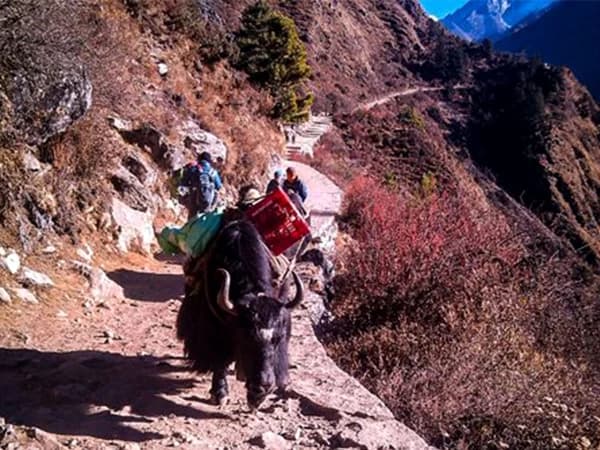 Everest Gokyo Lake 2 450x450