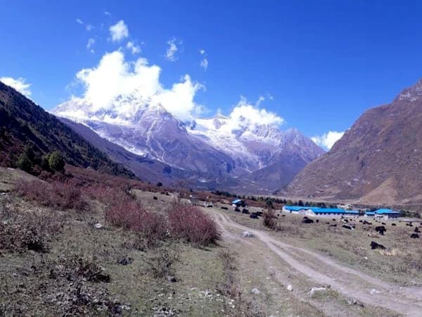 Manaslu 4