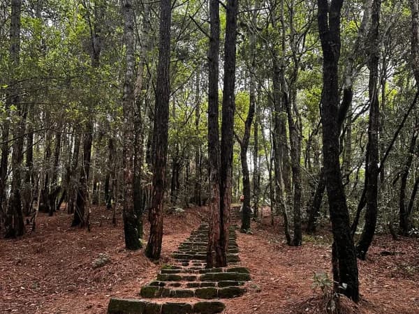 Nagarjun Hiking Forest Kathmandu