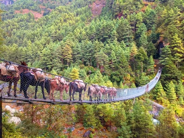 Suspension Bridge On The Way To Namche Bazaar From Phakding