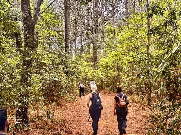 Day Hiking in Nagarjun Hill Kathmandu
